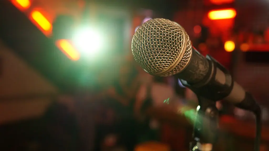 A close up look of a microphone